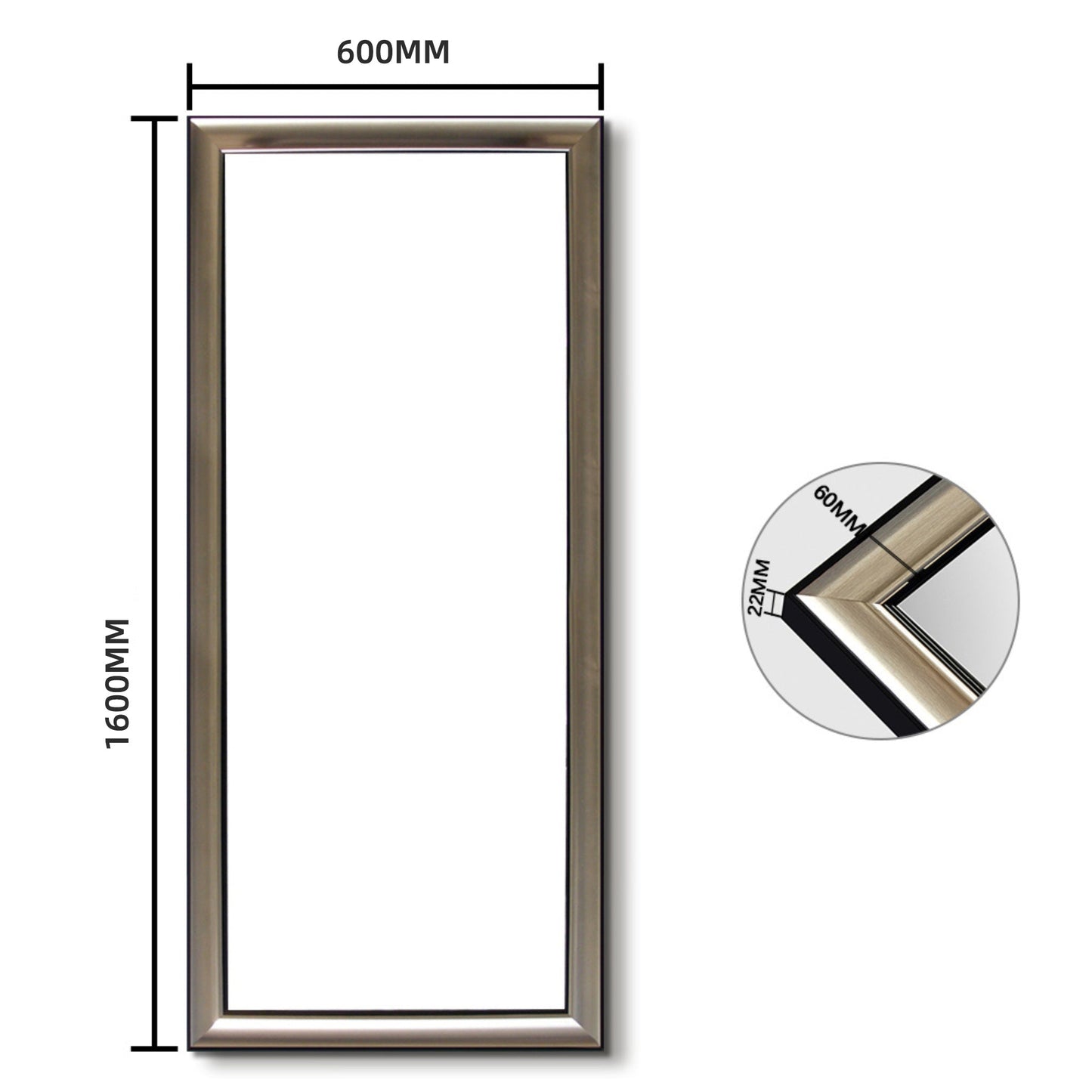Modern Champagne Silver Frame Full-Length Mirror - FLM42/FLM66