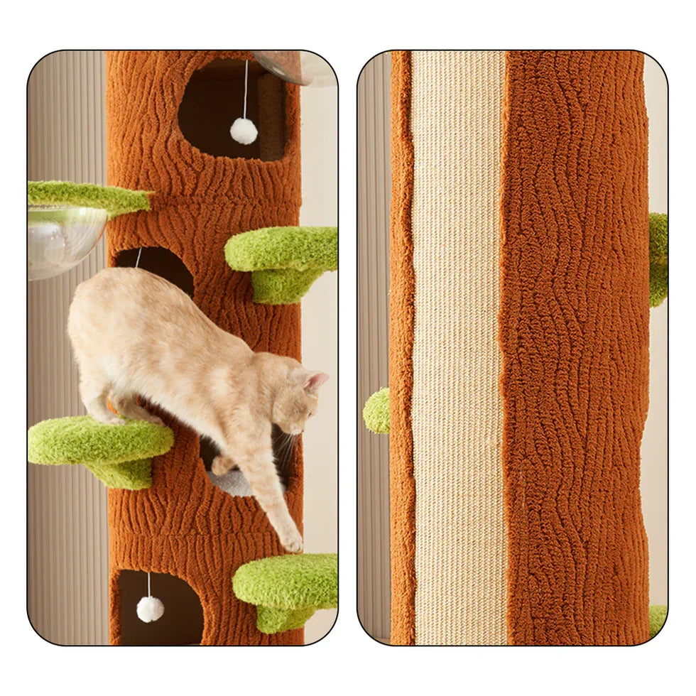 Plywood Tree Hollow Cat Tree Tower - Pet Comfort, Transparent Capsule, Sisal Board