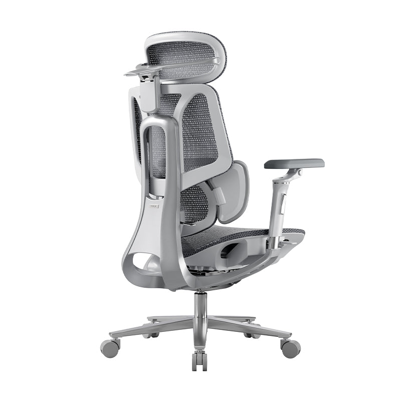 Hbada E3 Pro Ergonomic Mesh Office Chair — Adaptive Lumbar S - 12