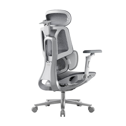 Hbada E3 Pro Ergonomic Mesh Office Chair — Adaptive Lumbar S - 12