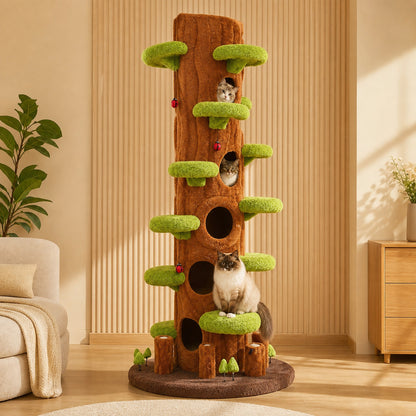 Cats inside the enclosed hollow-tree compartments