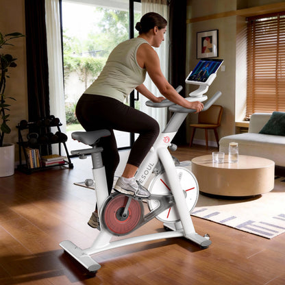 Yesoul S3 Indoor Exercise Bike