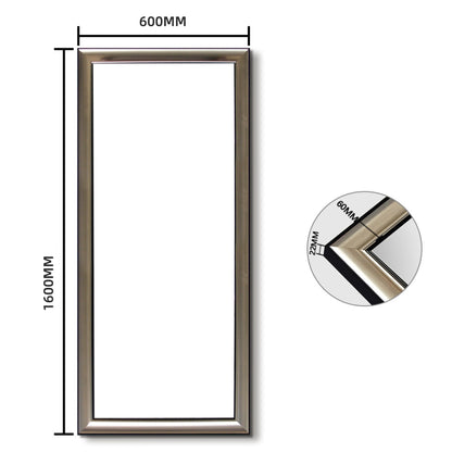 Modern Champagne Silver Frame Full-Length Mirror - FLM42/FLM66