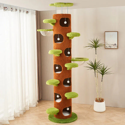 Plywood Tree Hollow Cat Tree Tower - Pet Comfort, Transparent Capsule, Sisal Board