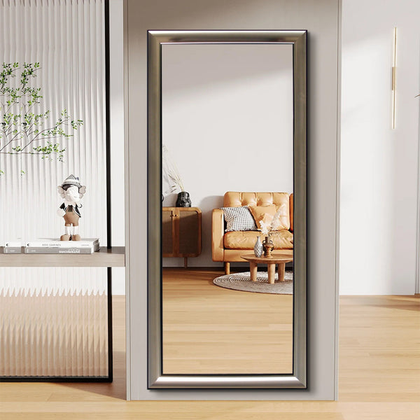 Modern Champagne Silver Frame Full-Length Mirror - FLM42/FLM66