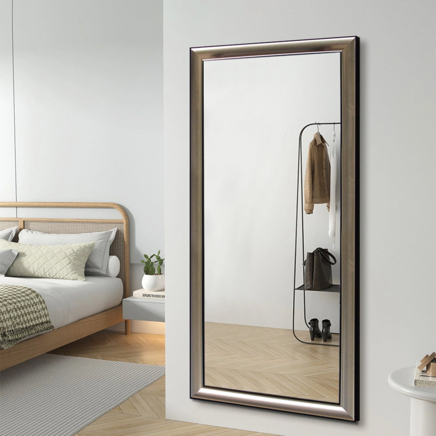 Modern Champagne Silver Frame Full-Length Mirror - FLM42/FLM66