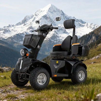 Livara DJD Adjustable Electric Mobility Scooter - 10km/h Public-Use Limit, 1000W, 60V 20Ah