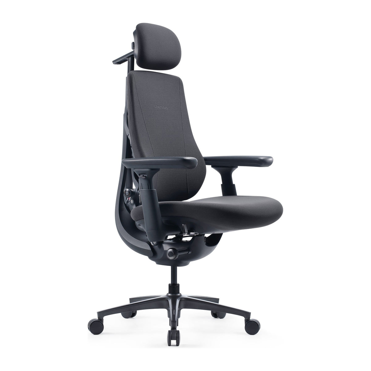 LiberNovo Maxis Manual – Big & Tall Dynamic Ergonomic Chair – Graphite