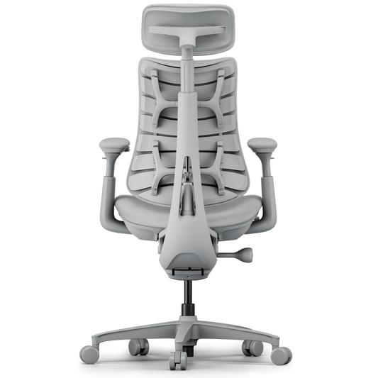 LiberNovo Omni adaptive backrest